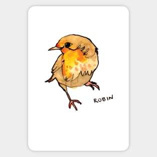 Robin Sticker